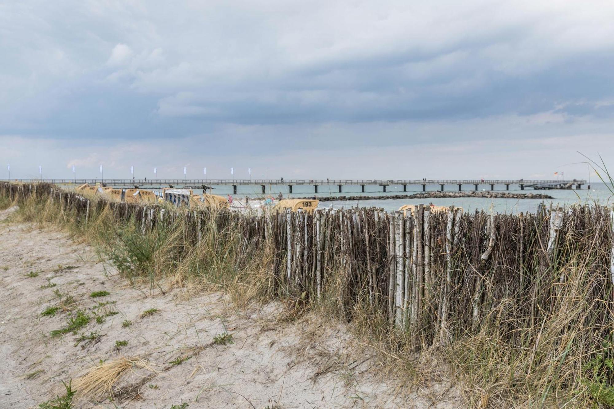 Treibholz - Feriendomizil Ostsee Schonberger Strand Ngoại thất bức ảnh
